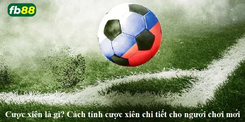 Cách cược xiên bóng đá dành cho người mới