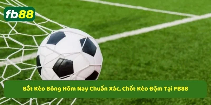 Kèo bóng hôm nay tổng hợp những kèo bóng dễ chơi nhất hôm nay