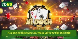 Mẹo chơi xì dách hiệu quả từ cao thủ