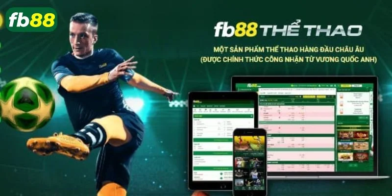 Hướng dẫn cách tham gia sảnh thể thao FB88